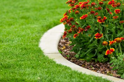 Enhances landscape appearance