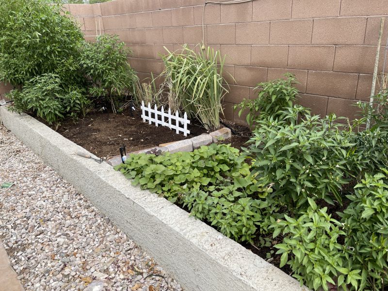 Concrete Edging Service