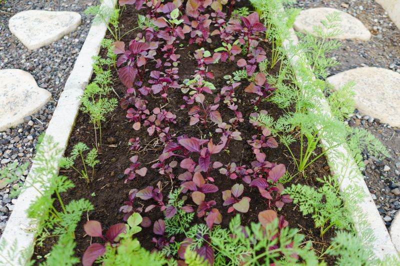 Concrete Edging Service