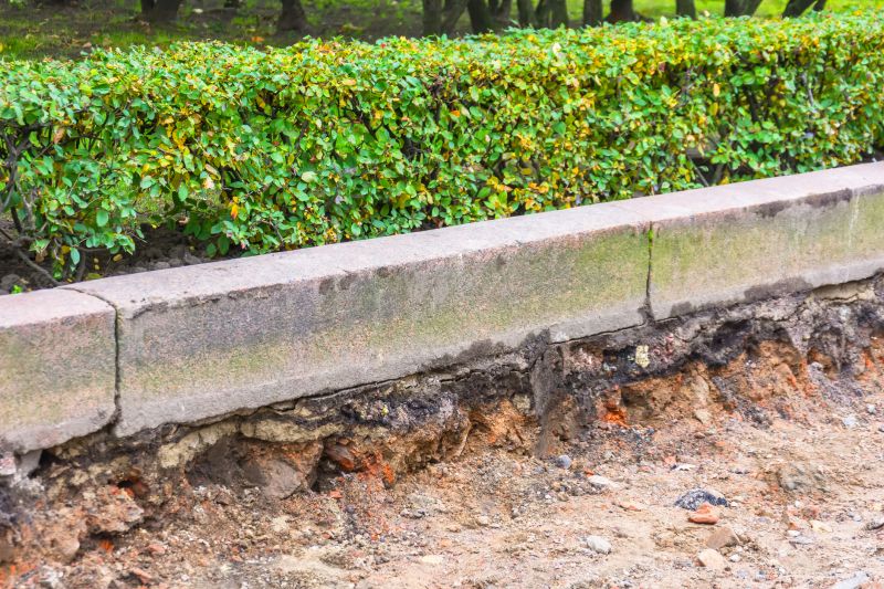 Design Customization